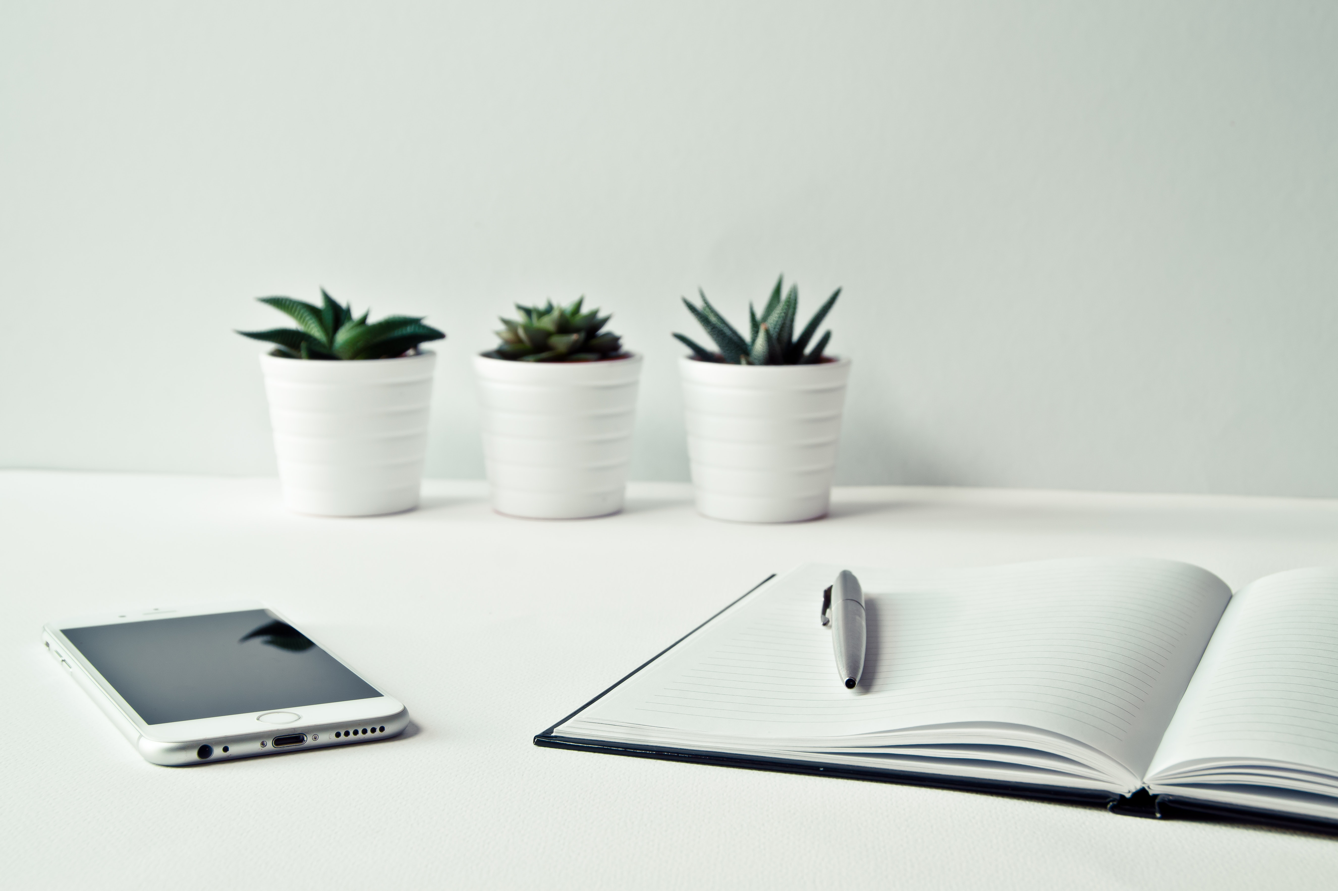 3 formas de navegar por la vida como un nuevo empresario